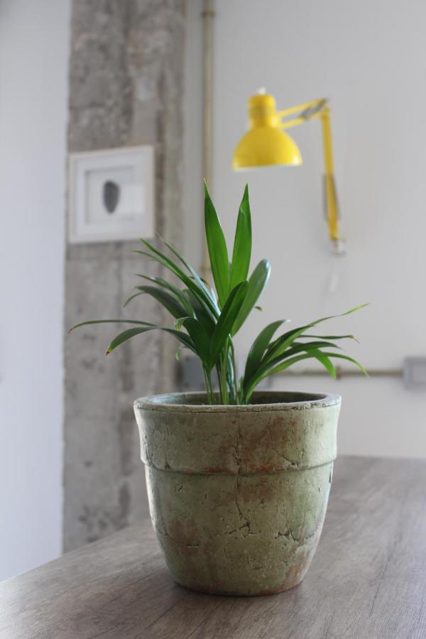 צ'יקלנה דה לה פרונטרה Central Loft מראה חיצוני תמונה